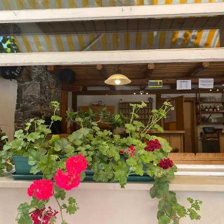 酒店 哈斯里山林小屋 迈林根