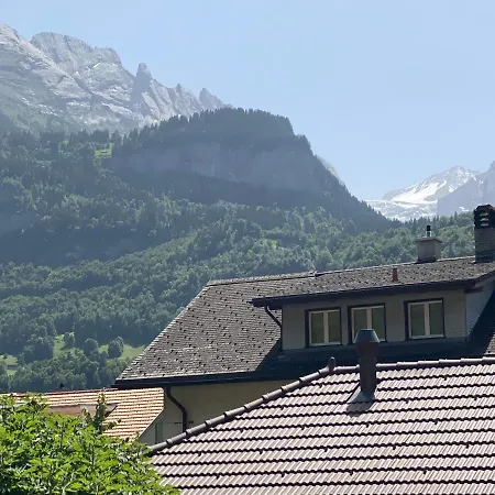 哈斯里山林小屋 酒店 *