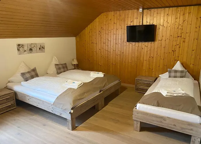 酒店 哈斯里山林小屋 迈林根