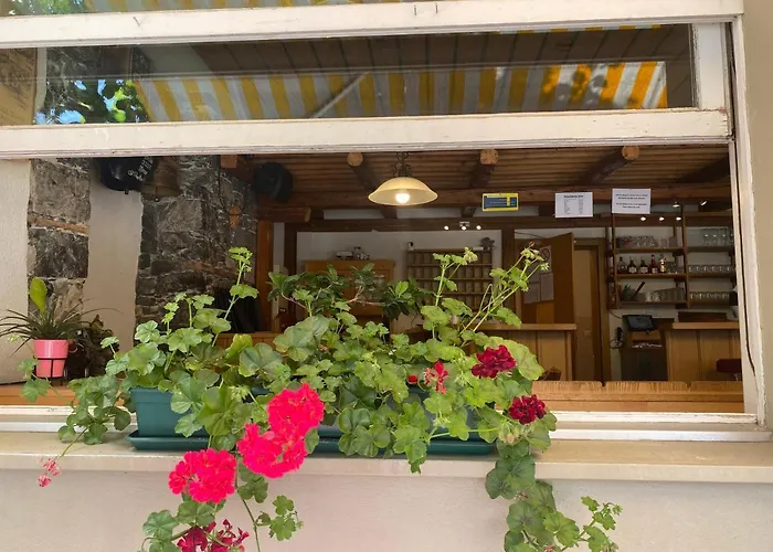 酒店 哈斯里山林小屋 迈林根